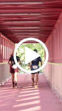 BIB:  <button type="button" onclick="openModal(27429784)" class="btn btn-primary btn-sm float-right" data-toggle="modal" data-target=".modal-high-quality">
                <i class="fa fa-download"></i> Download
                </button>